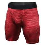 Muscleguys Mens Compression Shorts 2017 Summer 3D print Bermuda Shorts Fitness Men Cossfit Bodybuilding Tights Quick Dry Shorts