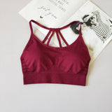 Women's Sports Bras