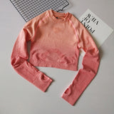 Yoga Shirts Fitted Long Sleeve Sport