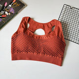 Sexy Cut Out High Impact Seamless Sports Bra Mesh Workout