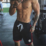 Brand Quick Dry Mens Mesh Shorts